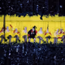THE CUNNING LITTLE VIXEN to Open at The Dallas Opera