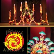 The Peking Acrobats are Coming to the WYO in February