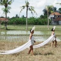 Arts Centre Melbourne Teams With VCA, The University Of Melbourne And ACMI For Asia…