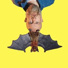 EDINBURGH 2023: Review: OLAF FALAFEL'S SUPER STUPID SHOW (20% MORE STUPIDER), The Ple