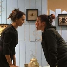 EDINBURGH 2019: BWW Review: THE WASP, Greenside