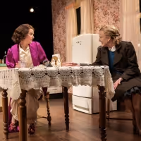 Review: WIFE OF A SALESMAN Brings Life-Giving Drama to the Milwaukee Repertory…