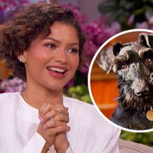 Zendaya Reveals Tom Holland's Sweet Dog-Walking Duty on JHUD SHOW