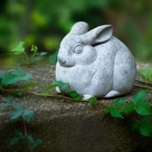 Stories On Stage Presents Kelly Link's STONE ANIMALS Next Month