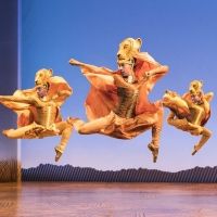 BWW Review: THE LION KING at Bass Concert Hall