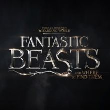 FANTASTIC BEASTS 3 Announces Release Date & New Title