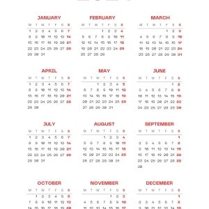 Student Blog: When 525,600 Minutes Turn Into 0