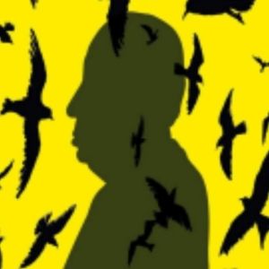 Alfred Hitchcock & Christopher Reeve Documentaries To Screen At Park Theatre