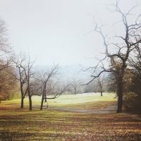Listen To Molly Parden's EP 'Rosemary' – Out Today