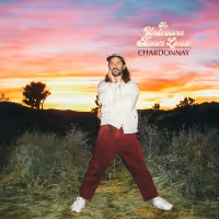 The Undercover Dream Lovers Release Official Video For 'Chardonnay'