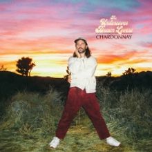 The Undercover Dream Lovers Release Official Video For 'Chardonnay'