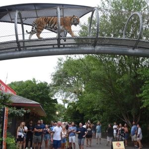 PHILADELPHIA ZOO Kicks Off Oktoberfest Season with Return of “OktoBEARfest” and…