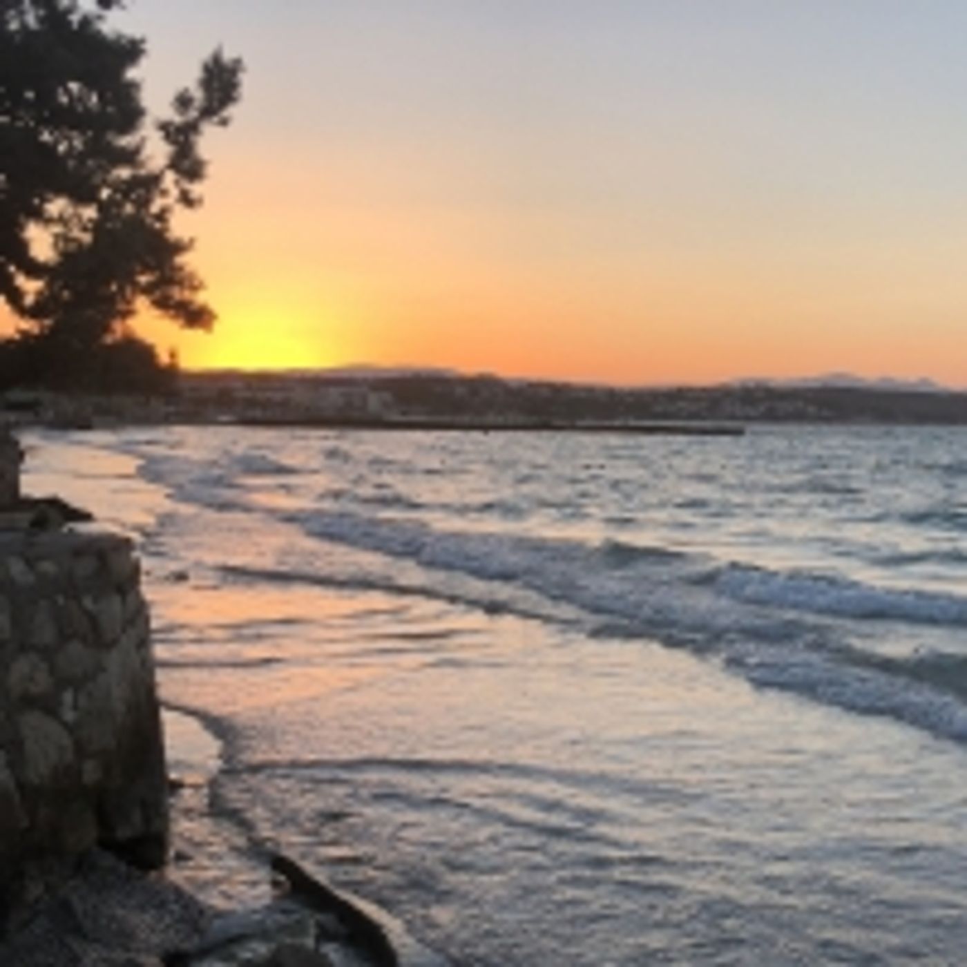 Student Blog: How To Go Back When You Don't Know How