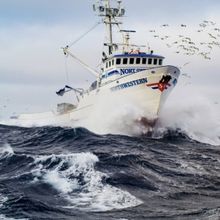 20th Season of DEADLIEST CATCH to Premiere in June on Discovery Channel