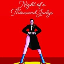 Sally Mayes, Nicolas King, Shereen Pimentel & More Join NIGHT OF A THOUSAND JUDYS