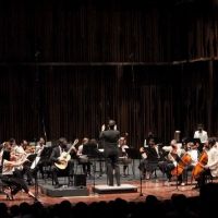 La Orquesta Sinfónica Nacional Interpretará Obras De Mozart, Jacques Ibert Y Scott…