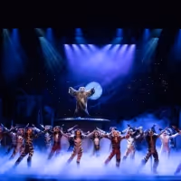 BWW Review: A 'Practical CATS' Performance at Proctors