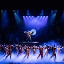 BWW Review: A 'Practical CATS' Performance at Proctors