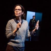 BWW Review: Mary-Louise Parker Cerebrally Fascinates in Adam Rapp's Quietly Riveting…