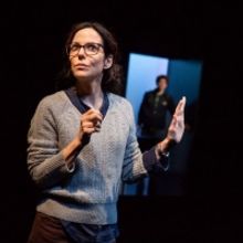 BWW Review: Mary-Louise Parker Cerebrally Fascinates in Adam Rapp's Quietly Riveting 