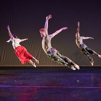 THE POLITICS OF MOVEMENT To Be Presented By Clark Center NYC And American Dance Guild
