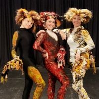 The Majestic Academy Of Dramatic Arts Will Present CATS: YOUNG ACTORS…