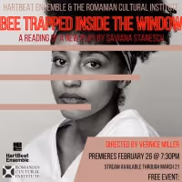 IASNY Presents Saviana Stanescu's BEE TRAPPED INSIDE THE WINDOW on Demand