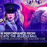 Video: CATS: THE JELLICLE BALL Cast Performs 'Skimbleshanks' on FALLON