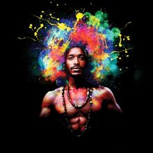 Jordan Dobson, Olivia Puckett & More to Star in HAIR at Signature Theatre