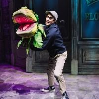 LITTLE SHOP OF HORRORS Returns to Off-Broadway Run This Fall