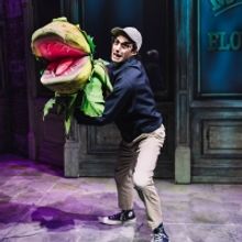 LITTLE SHOP OF HORRORS Returns to Off-Broadway Run This Fall