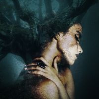 Co-Opera Presents AMONGST THE TREES
