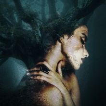 Co-Opera Presents AMONGST THE TREES