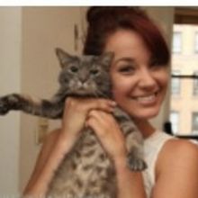 Sierra Boggess, Andy Karl, Jesse Mueller and More Join STARS IN THE HOUSE Benefit for