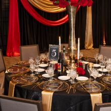 Sarasota Opera to Honor David and Edith Chaifetz at 2027 Annual Opera Gala