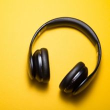 BWW Blog: Zoey's Extraordinary TV Show