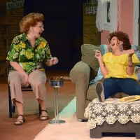 BWW Review: SORDID LIVES at Palm Canyon Theatre
