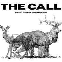 Interview: Francesca DiFrancesco of THE CALL at Shedd Stage