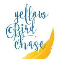 Liars & Believers to Present Free Performance of YELLOW BIRD CHASE This Week