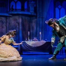 Dallas Children's Theatre Presents BEAUTY AND THE BEAST