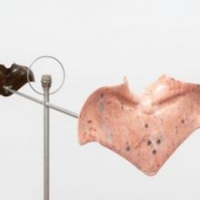 Now On View: Julia Phillips At Matthew Marks, Online And By Appointment