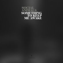 Social Animals Release Single 'Something to Keep Me Awake'