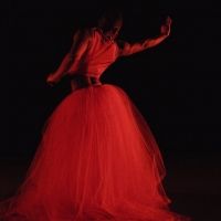 Ballet Idaho Releases NEWDANCE!