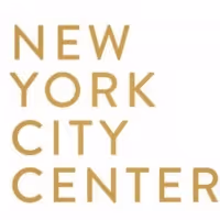 Casting Announced for Matthew Bourne's SWAN LAKE at New York City Center