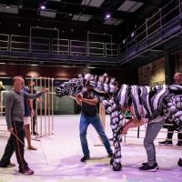 A.R.T. Announces Programs and Events for LIFE OF PI, Featuring Puppet…