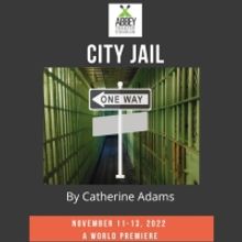 Abbey Theater Presents Premiere Production Of CITY JAIL