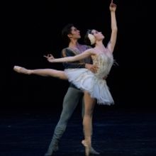 Conmemorarán El Día Internacional De La Danza Con Maratón Artístico En El Centro 