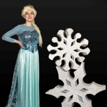 HPCT's FROZEN JR Comes to High Point This Week