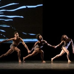 Jacob's Pillow Dance Festival to Present Stephen Petronio Company's Final Bow