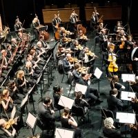 Park Avenue Chamber Symphony Announces 20th Anniversary Season